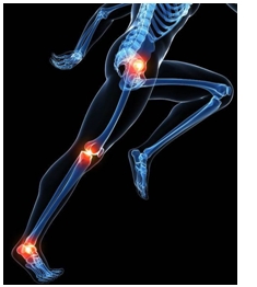 Podologie du sport Pathologie pied sportif